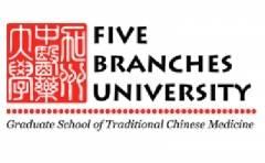 Five Branches University Logo