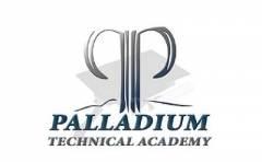 Palladium Technical Academy Inc Logo