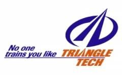 Triangle Tech Inc-Bethlehem Logo