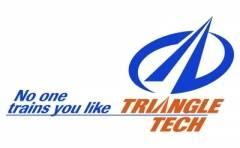 Triangle Tech Inc-Dubois Logo