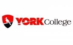 York College Logo