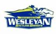 North Carolina Wesleyan University Logo