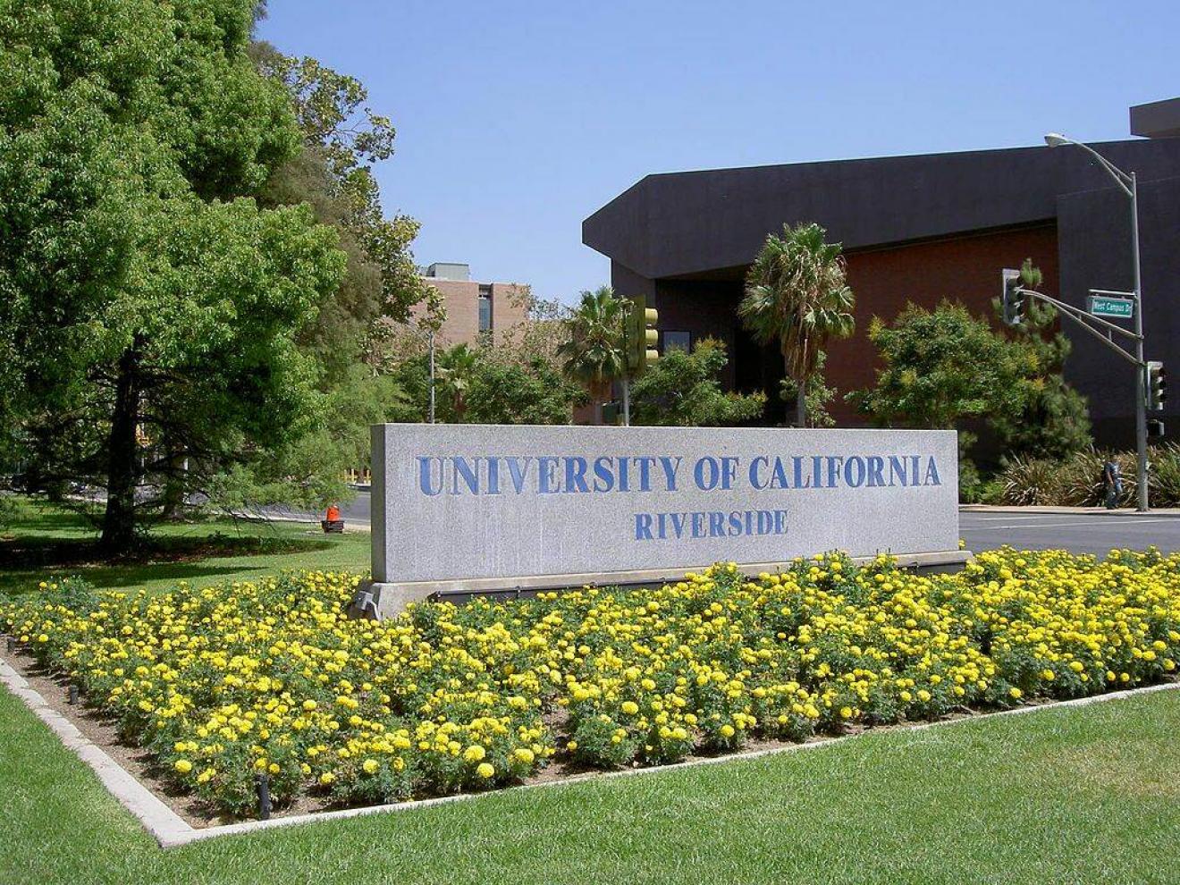 california colleges with creative writing majors