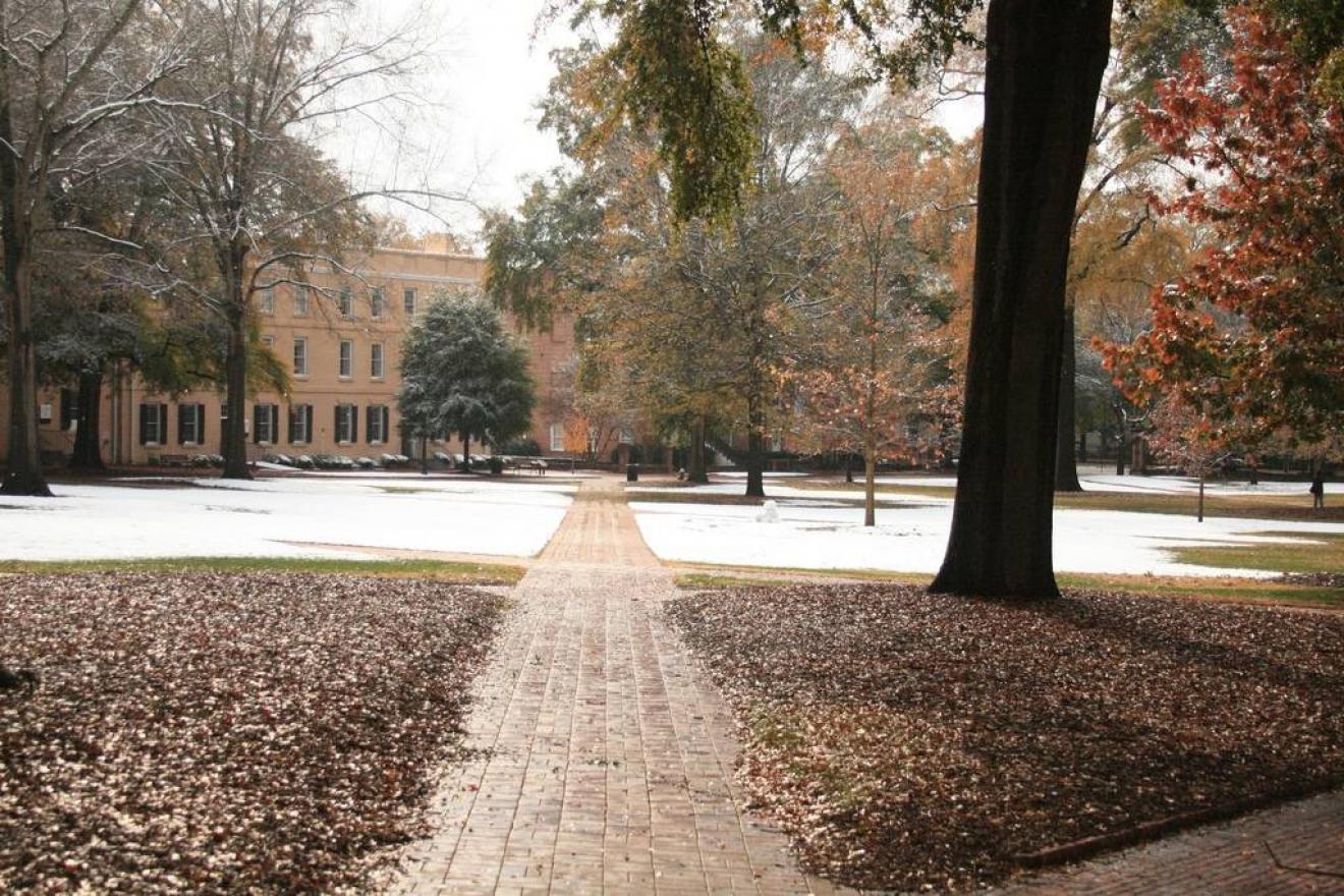 best creative writing colleges in the south